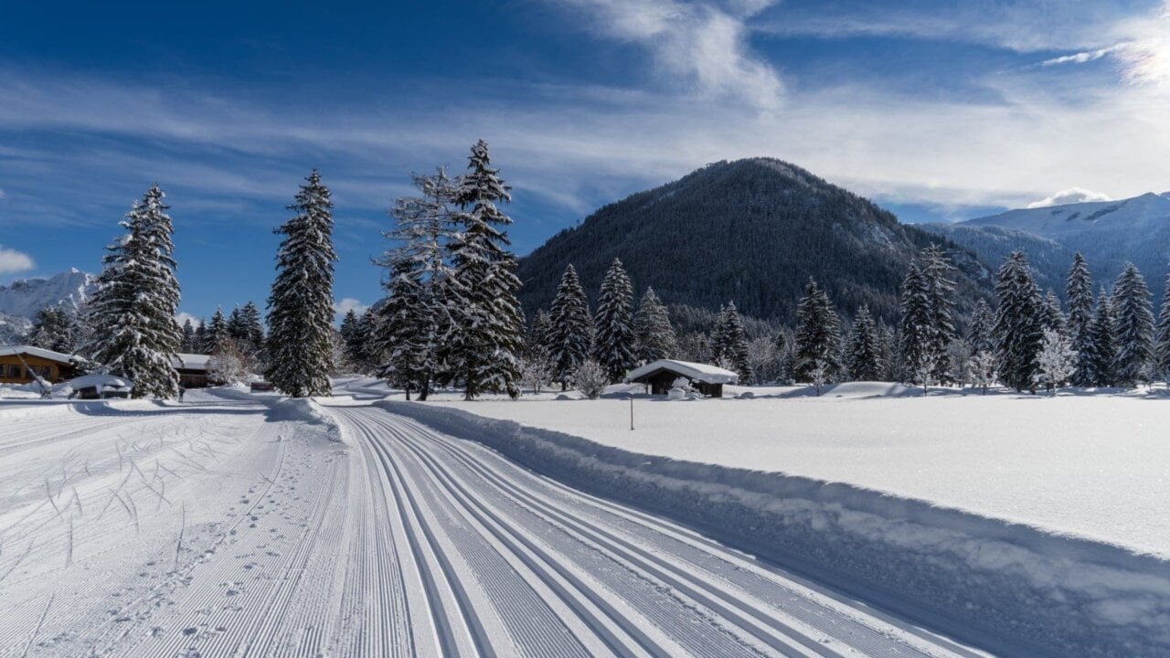 Winterlandschaft mit Schnee und Tannenbäumen