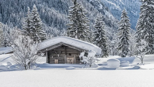 Einfamilienhaus im verschneiten Waldgebiet