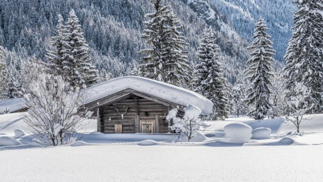 Einfamilienhaus im verschneiten Waldgebiet