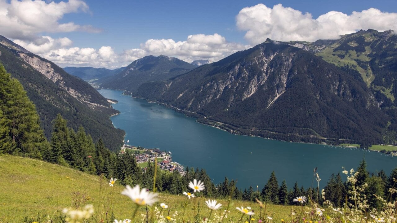 Alpenlandschaft mit See und Blumenwiese