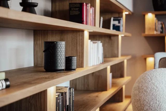 Moderne Bücherregale mit dekorativen Elementen